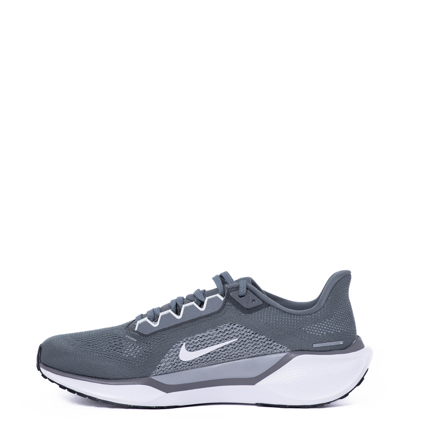 Tenis Nike Air Zoom Pegasus 41